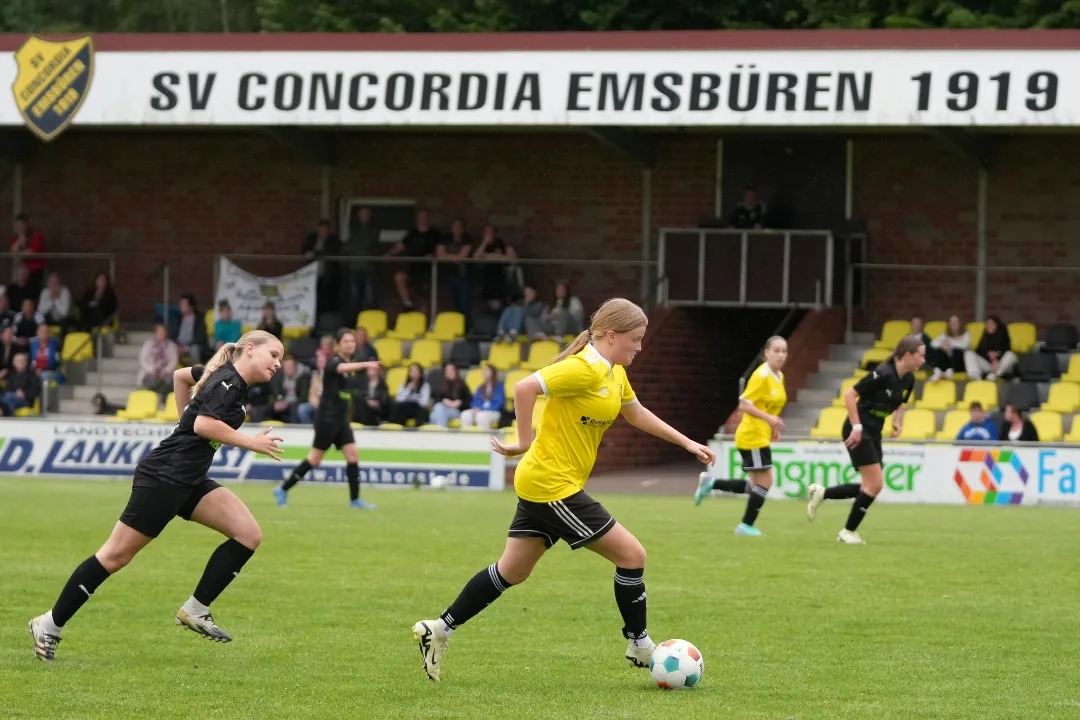 446951901 959361422858250 2810703703716313922 n