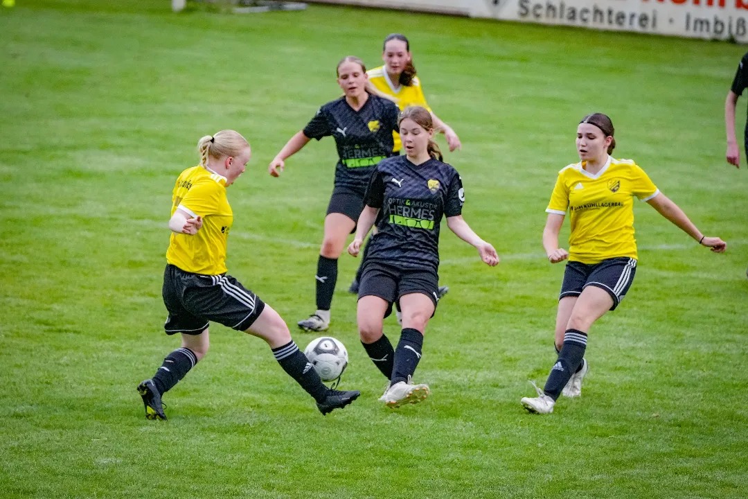 446960991 959361416191584 6824581162981514817 n